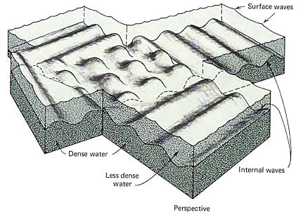 Internal waves at interface between water layers of different densities